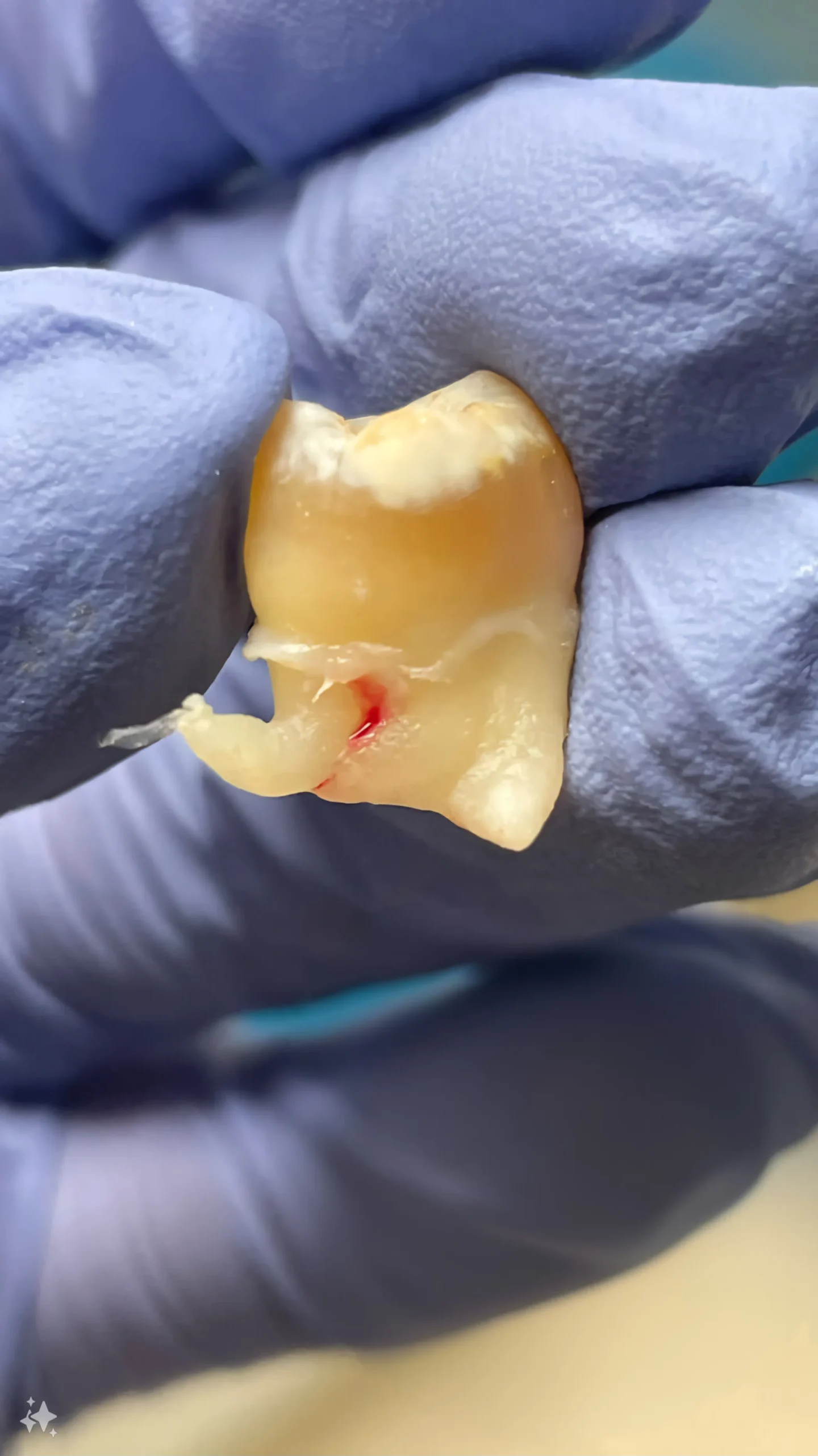 Сучасне обладнання клініки